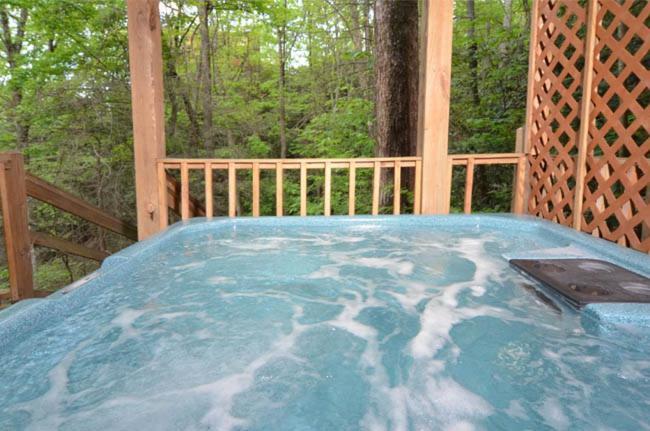 #3690 Bear Creek Lodge Hatchertown Εξωτερικό φωτογραφία